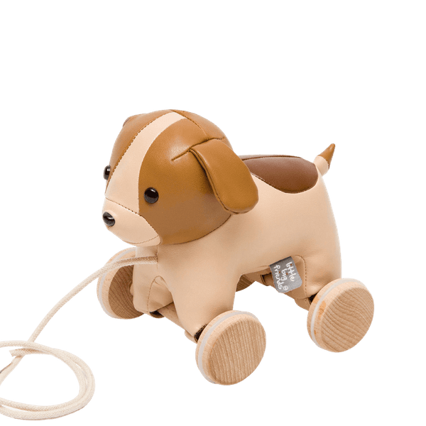 Trekkdyr - Adrien hunden