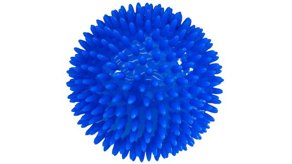Massasjeball / Piggball